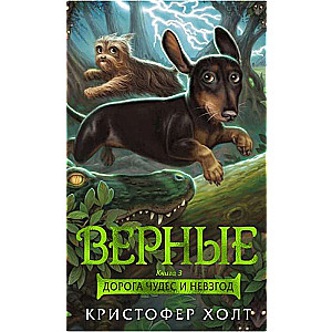 Uzticīgie. Grāmata 3. Brīnumu un grūtību ceļš