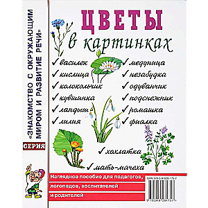 Ziedi attēlos. Vizuālais palīglīdzeklis pedagogiem, logopēdiem, audzinātājiem un vecākiem