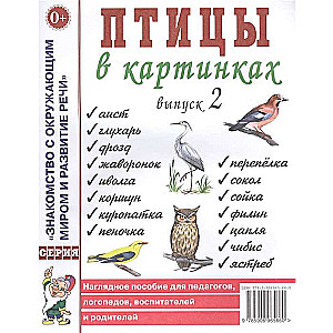 Transports attēlos. Izdevums 2. Dienesta transports. Vizuālais mācību līdzeklis pedagogiem, logopēdiem,