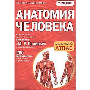 Cilvēka anatomija. 2. izdevums