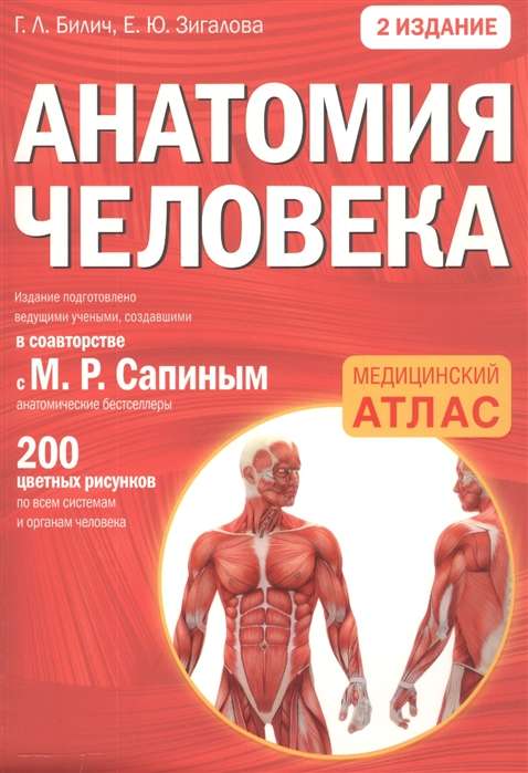 Анатомия человека. 2-е издание