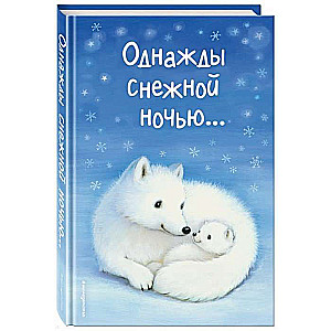 Kādreiz sniegotā naktī...