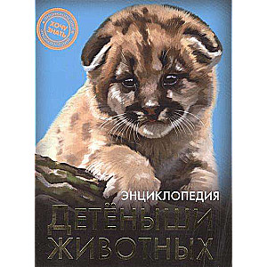 Детёныши животных