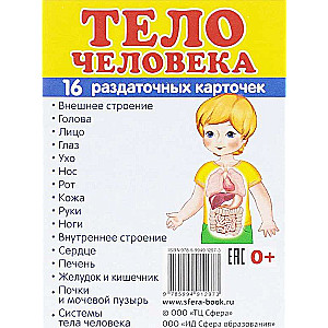 Cilvēka ķermeņa kartīšu komplekts
