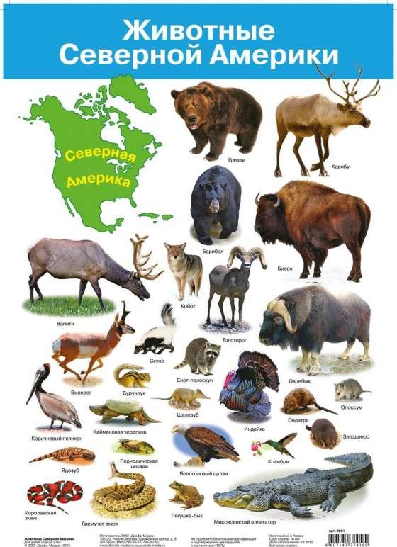 Плакат А3 Животные Северной Америки (290 х 420 мм)