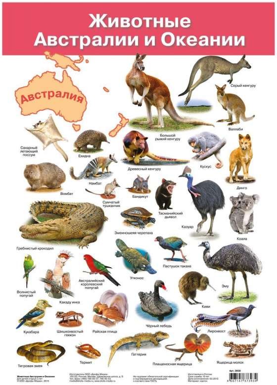 Плакат А3 Животные Австралии и Океании (290 х 420 мм)