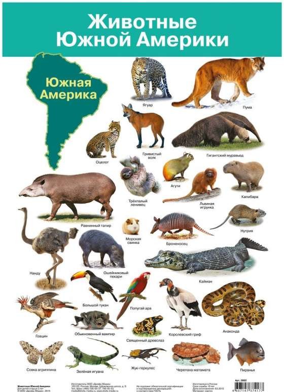 Плакат А3 Животные Южной Америки (290 х 420 мм)