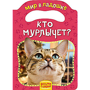 Kas murrā?