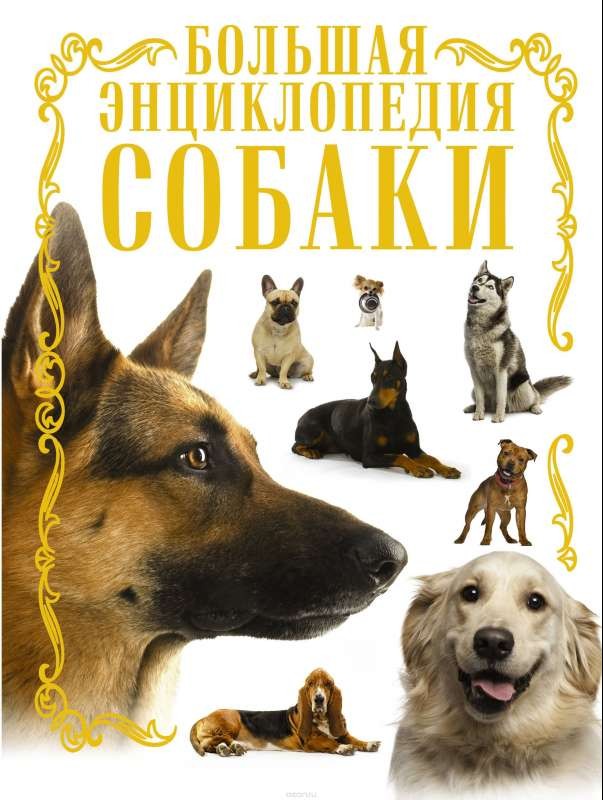 Собаки: Большая энциклопедия