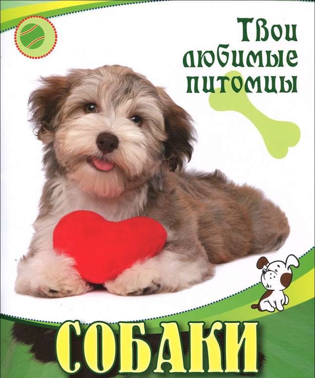 Собаки