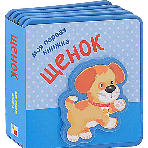 Kucēns