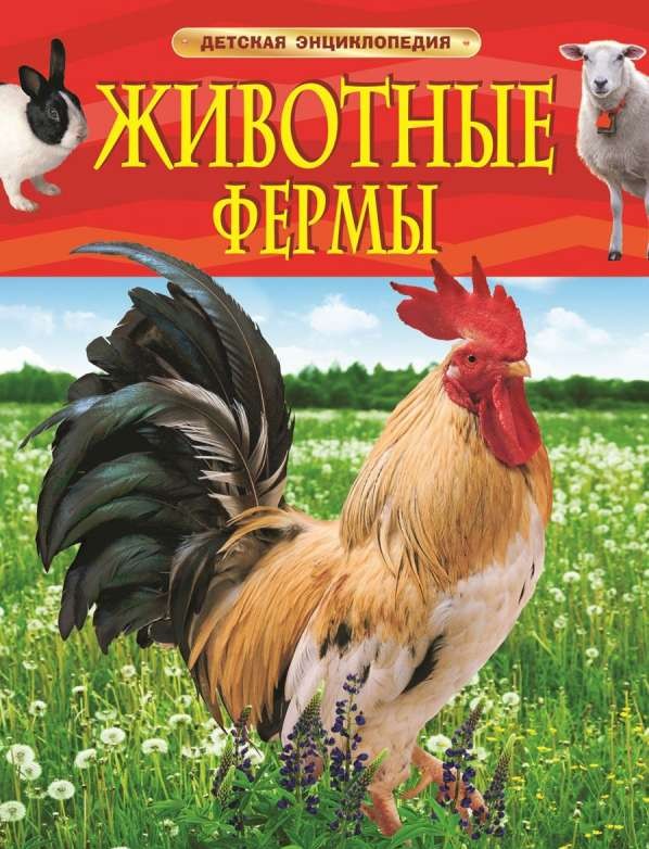 Lauku dzīvnieki