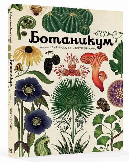 Botānikums