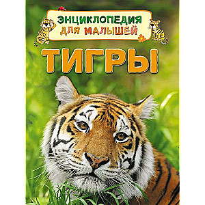 Tigri