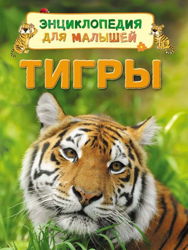 Tigri