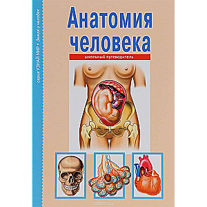 Cilvēka anatomija