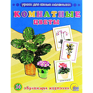 Комнатные цветы. 16 обучающих карточек
