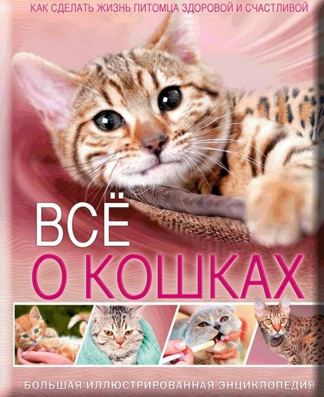 Все о кошках. Большая иллюстрированная энциклопедия