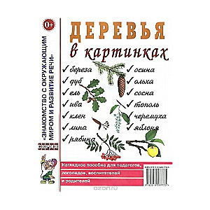 Galvas segumi attēlos