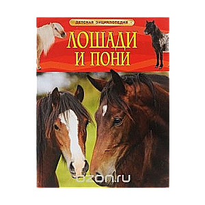 Zirgi un poniji