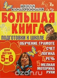 Большая книга подготовки к школе для детей 5-6 лет