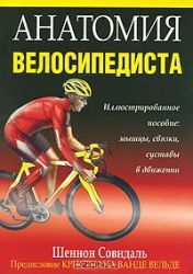 Анатомия велосипедиста