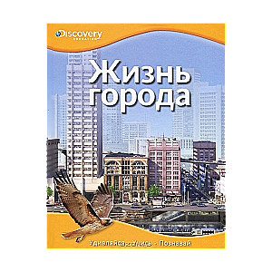 Pilsētas dzīve