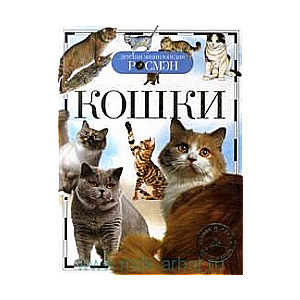Kaķi
