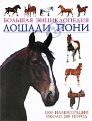 Лошади и пони. Большая энциклопедия
