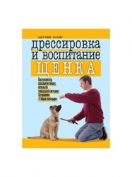 Дрессировка и воспитание щенка. Как воспитать идеальную собаку