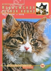 Норвежская лесная кошка