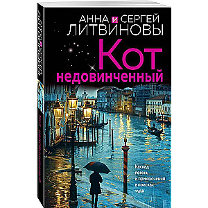 Kaķis nepabeigts