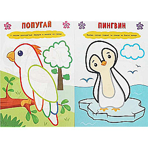 Dzīvnieku pasaulē