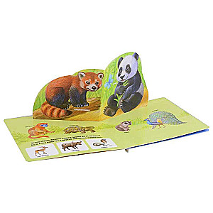 Zoodārzā