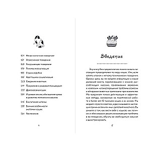 Katomānija. Kas slēpjas kaķa uzvedībā un kā to audzināt bez soda