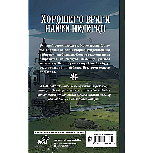 Elfu aizvietotājs