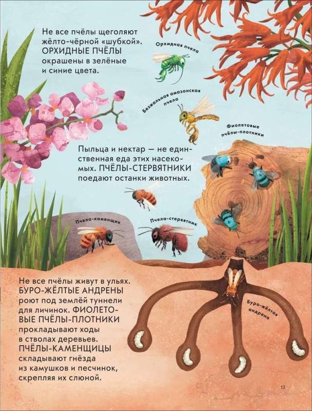 Детская энциклопедия насекомых