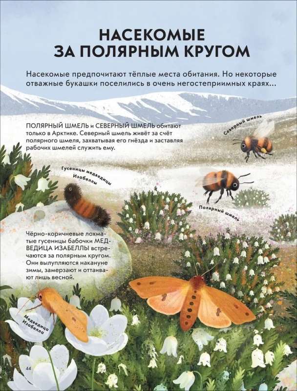 Bērnu kukaiņu enciklopēdija