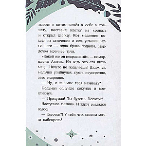 Kaķis ar vārdu Trīspadsmitais