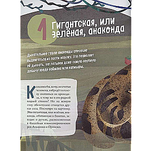 Čūskas. Lieliskā desmitnieka
