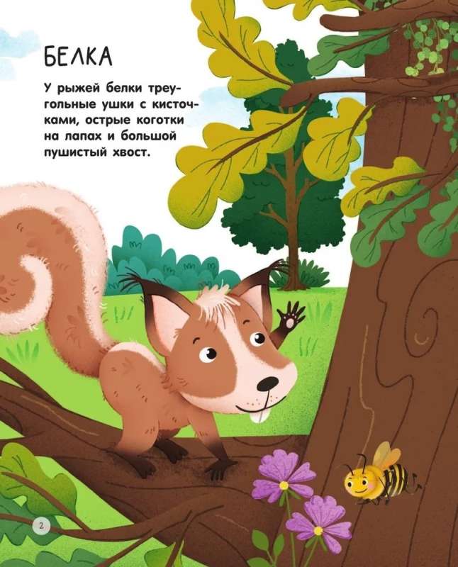 Meža dzīvnieki