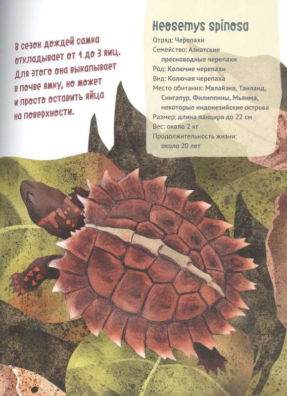 Lieliskā desmitnieks. Čūskas
