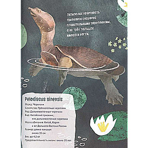 Lieliskā desmitnieks. Čūskas
