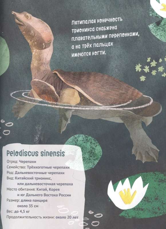 Lieliskā desmitnieks. Čūskas