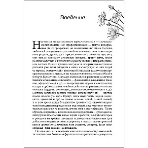 Dekoratīvie ārstniecības augi dārzā