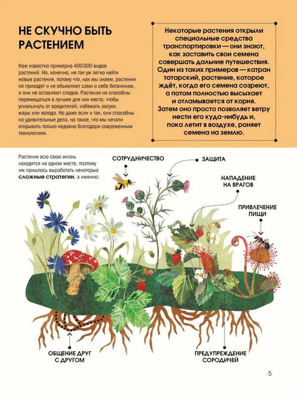 Язык растений. Понимаем, как общаются растения