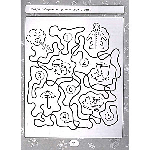 IQ mīklas un labirinti-atbildes: 5+