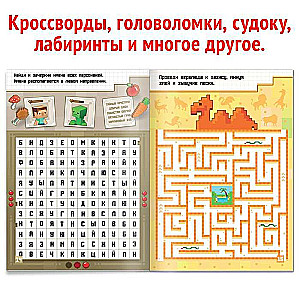 Grāmata «IQ mīklas»