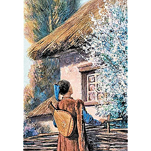 Vakari pie Dikanjkas