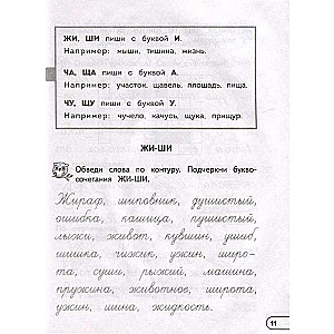 Profilaktika disgrafijas un disleksijas. Neiropsiholoģiskais trenažieris. 1 - 4 klase